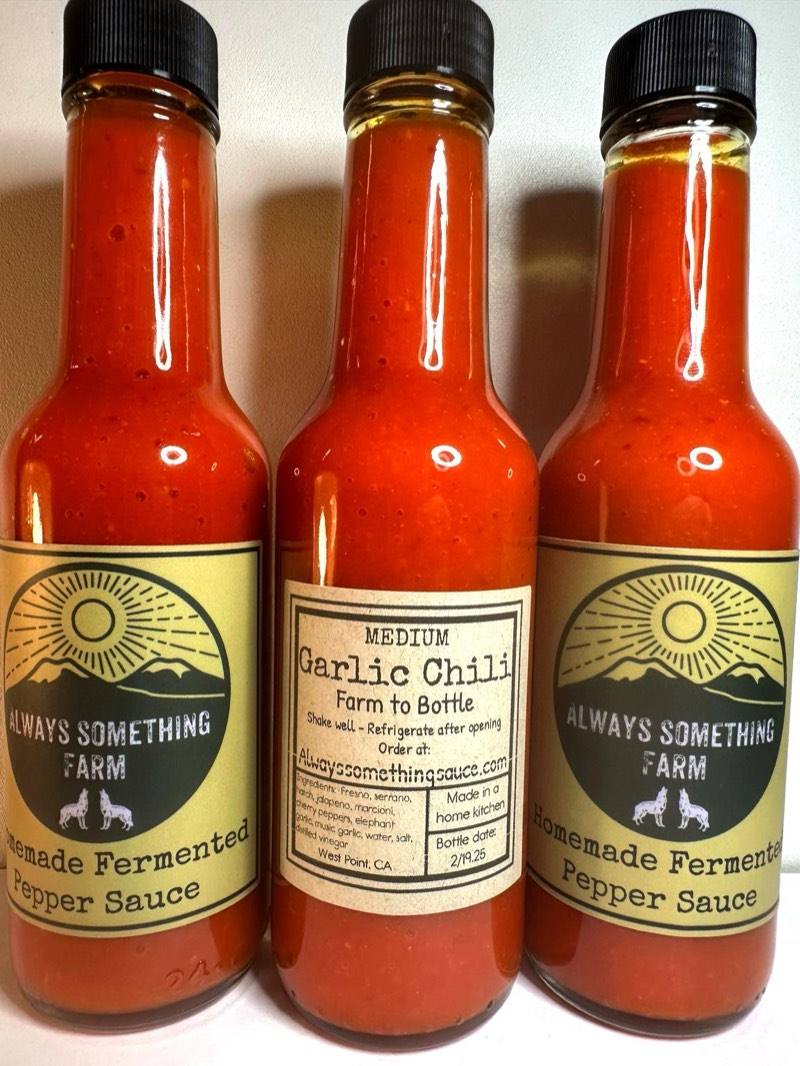 Garlic Chili fermented hot sauce bottle from Always Something Farm