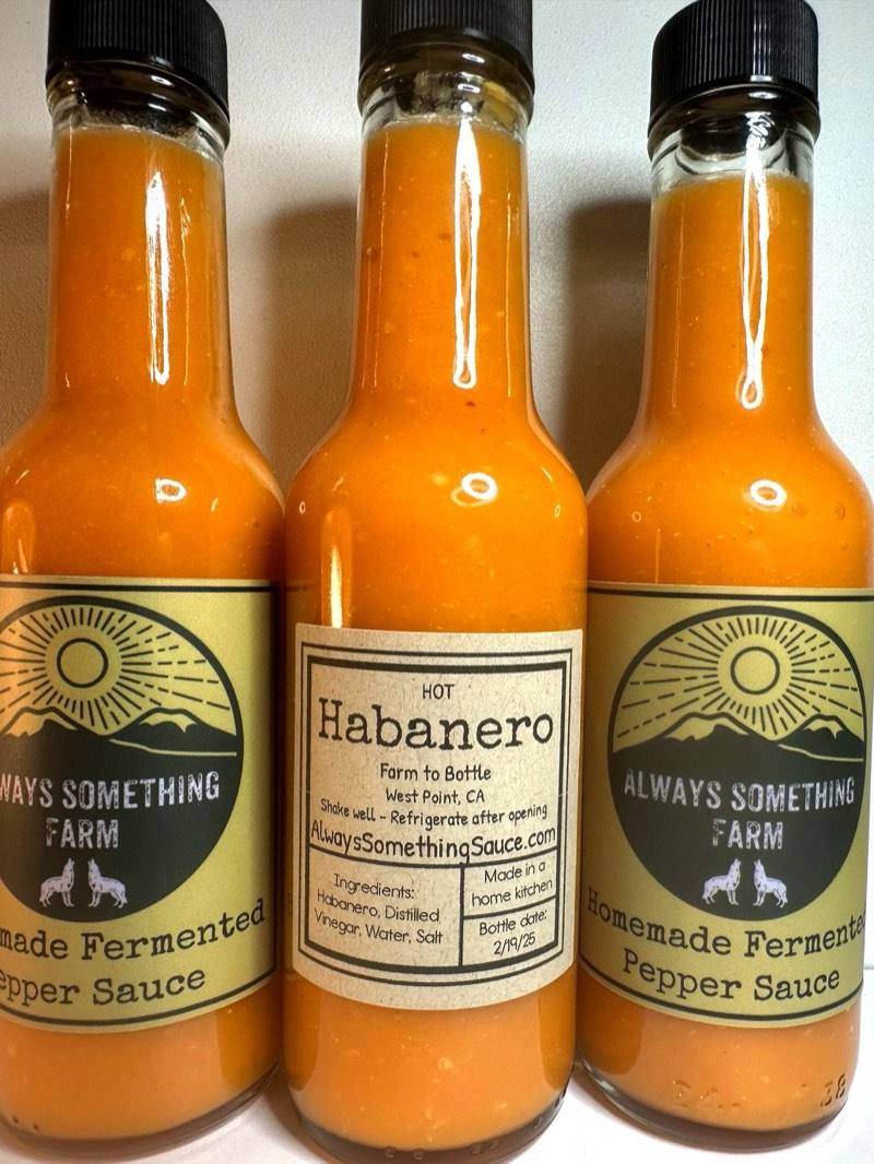 Habanero fermented hot sauce bottle from Always Something Farm